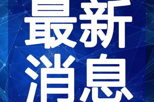 大将星光村爆料视频最新,大将爆料视频曝光惊人内幕