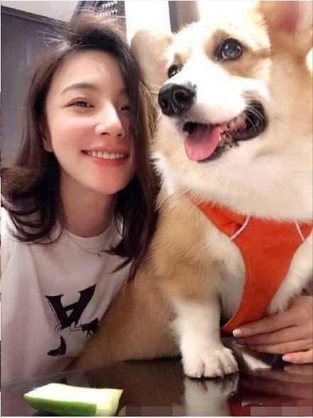 柯基最新爆料,揭秘明星私生活背后的惊人真相