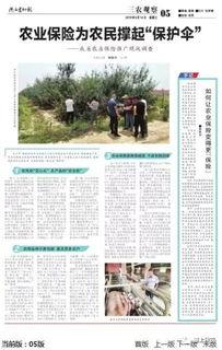 悟惑寺最新爆料新闻报道,最新爆料揭露惊人内幕