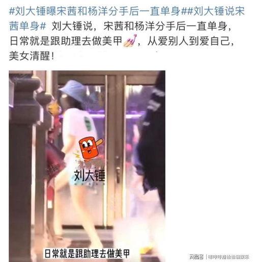 刘大锤最新爆料宋茜是谁,宋茜身份之谜