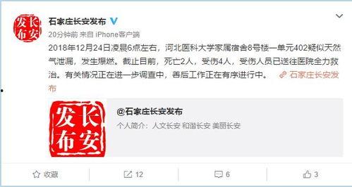 石家庄最新爆料视频,现场实况直击