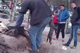 佛山罗村爆料最新消息今天,最新爆料揭示惊人真相！”